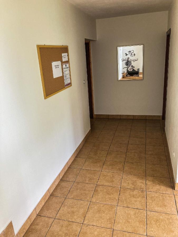 Pokoje Goscinne Walus Murzasichle Kültér fotó